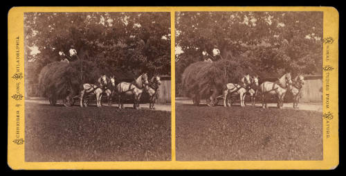Haywagon