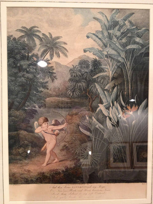 Cupid Inspiring Plants with Love