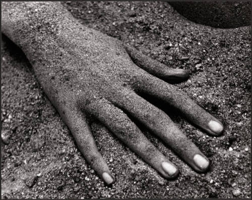 Ruth Bernhard