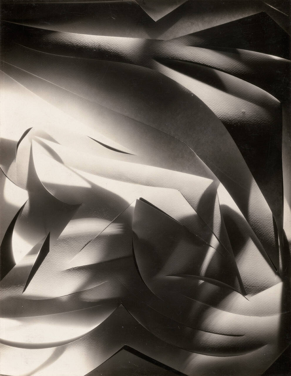 Cut Paper Abstraction