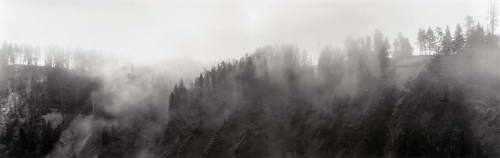 Fog (Grand Canyon of the Yellowstone)