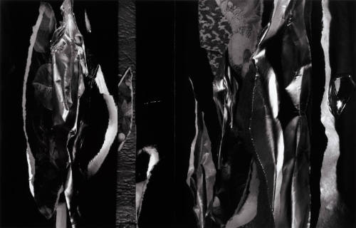 Heidi's Garden Diptych 88/112