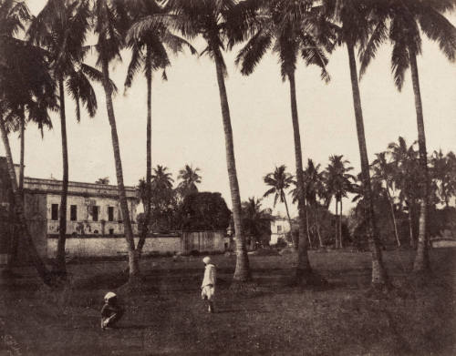 Scenery near Calcutta. 30
