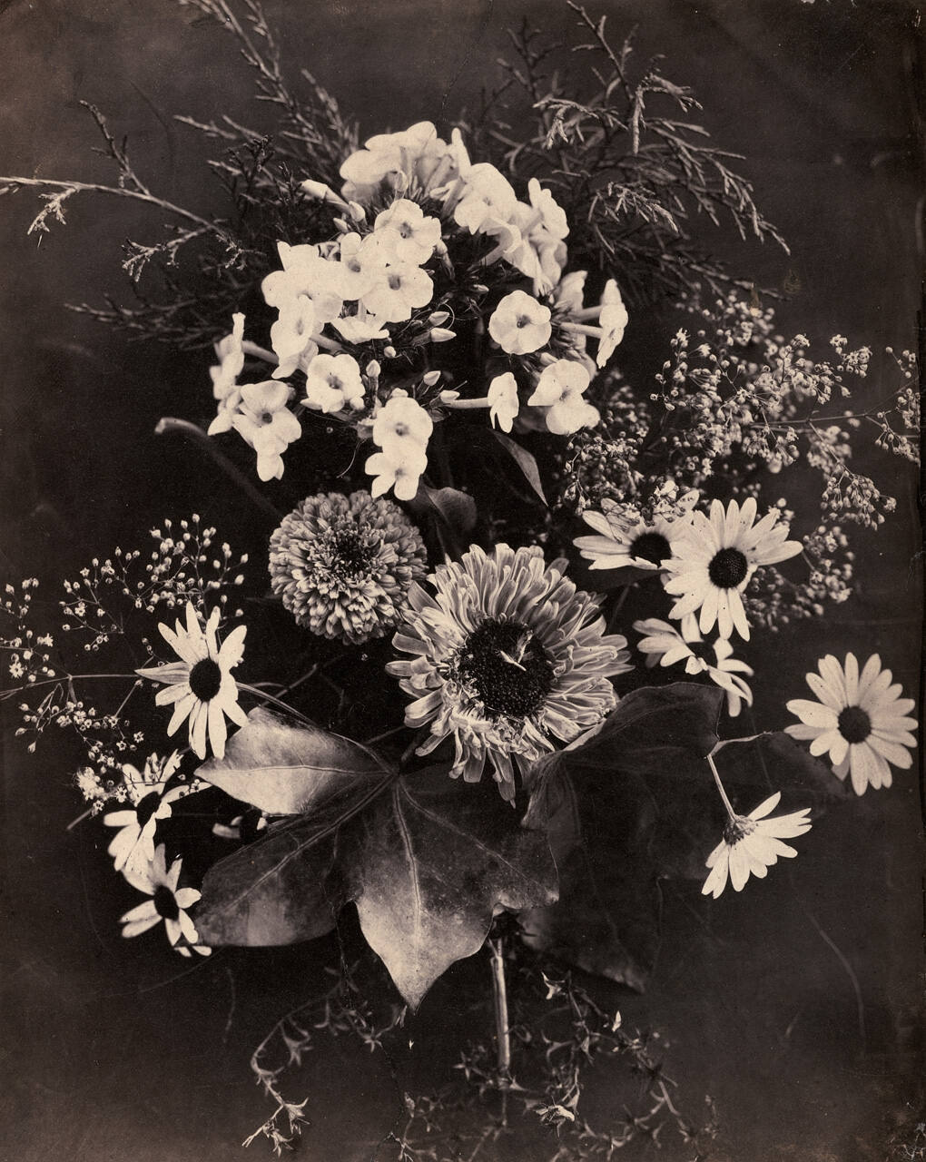 Floral Arrangement