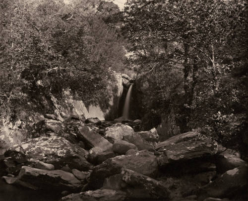 On a Stream at Glengariff