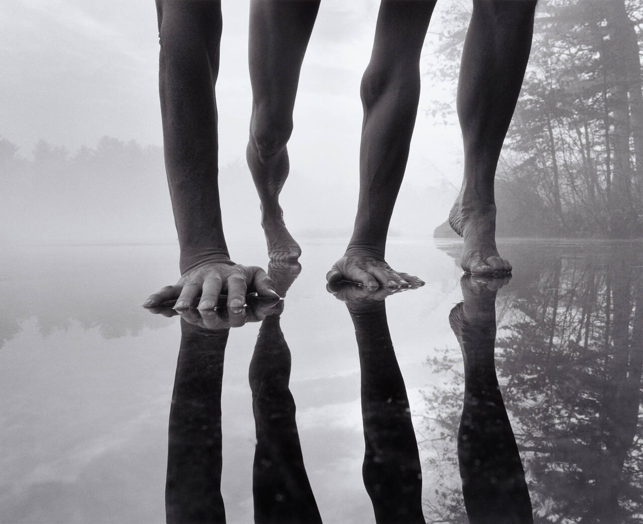 Self-portrait, Foster's Pond Millennium
