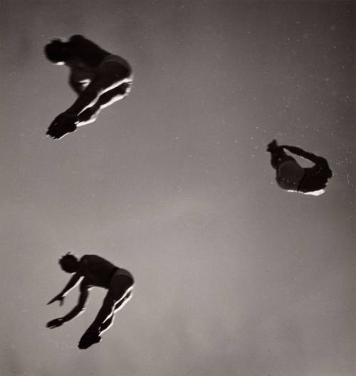 John Gutmann