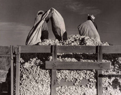 Cotton wagon, Eloy, Arizona