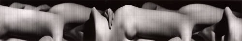 Figure in Motion
