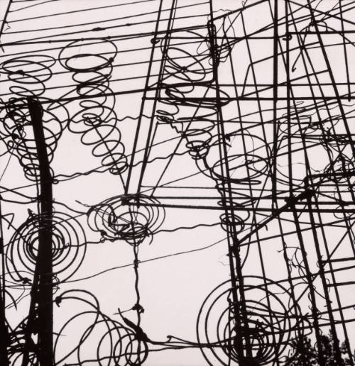 Untitled (Bed Springs)