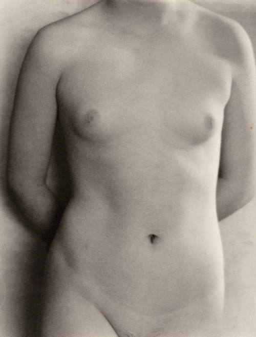 Nude Torso, San Francisco