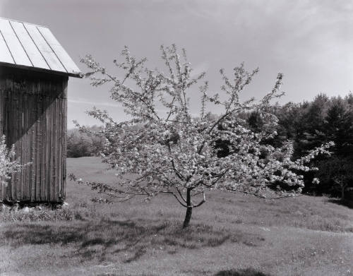 Mr. Bristol's Barn 78