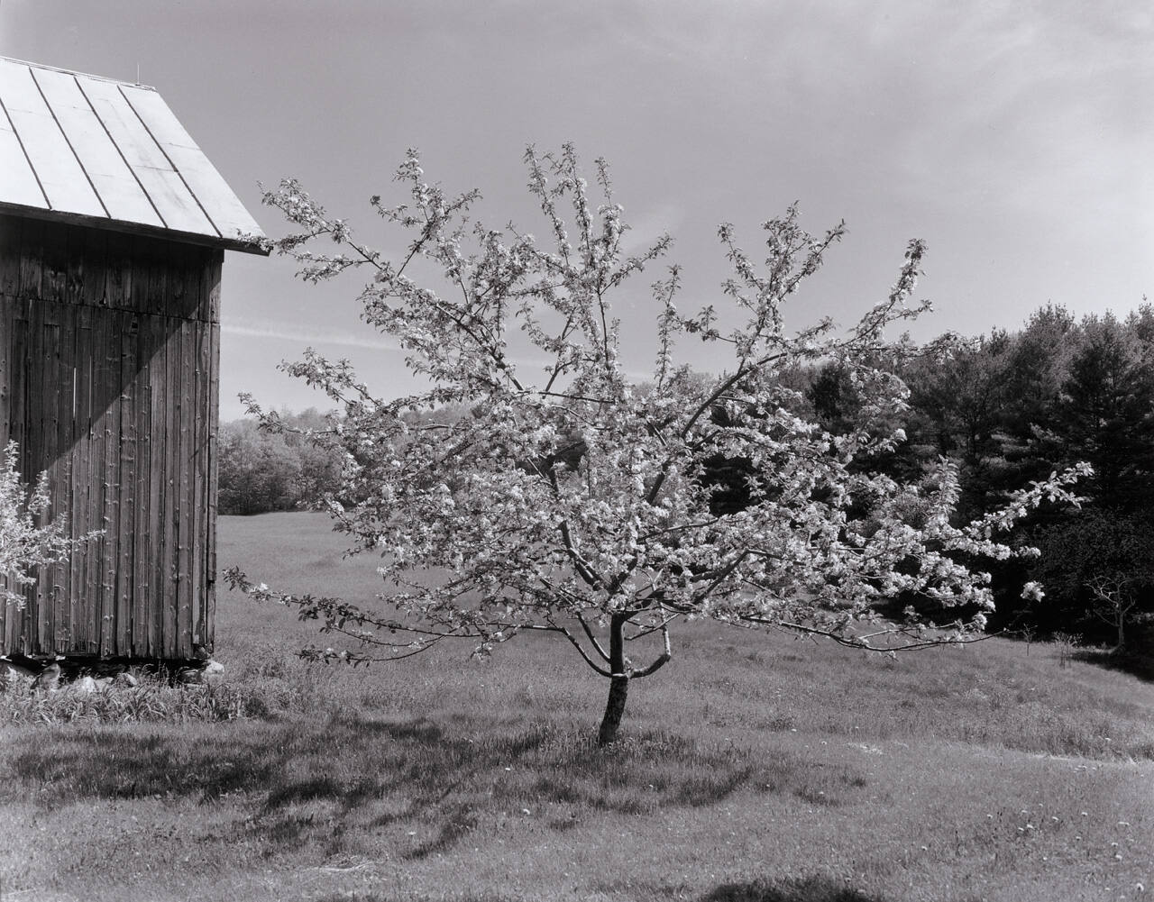 Mr. Bristol's Barn 78
