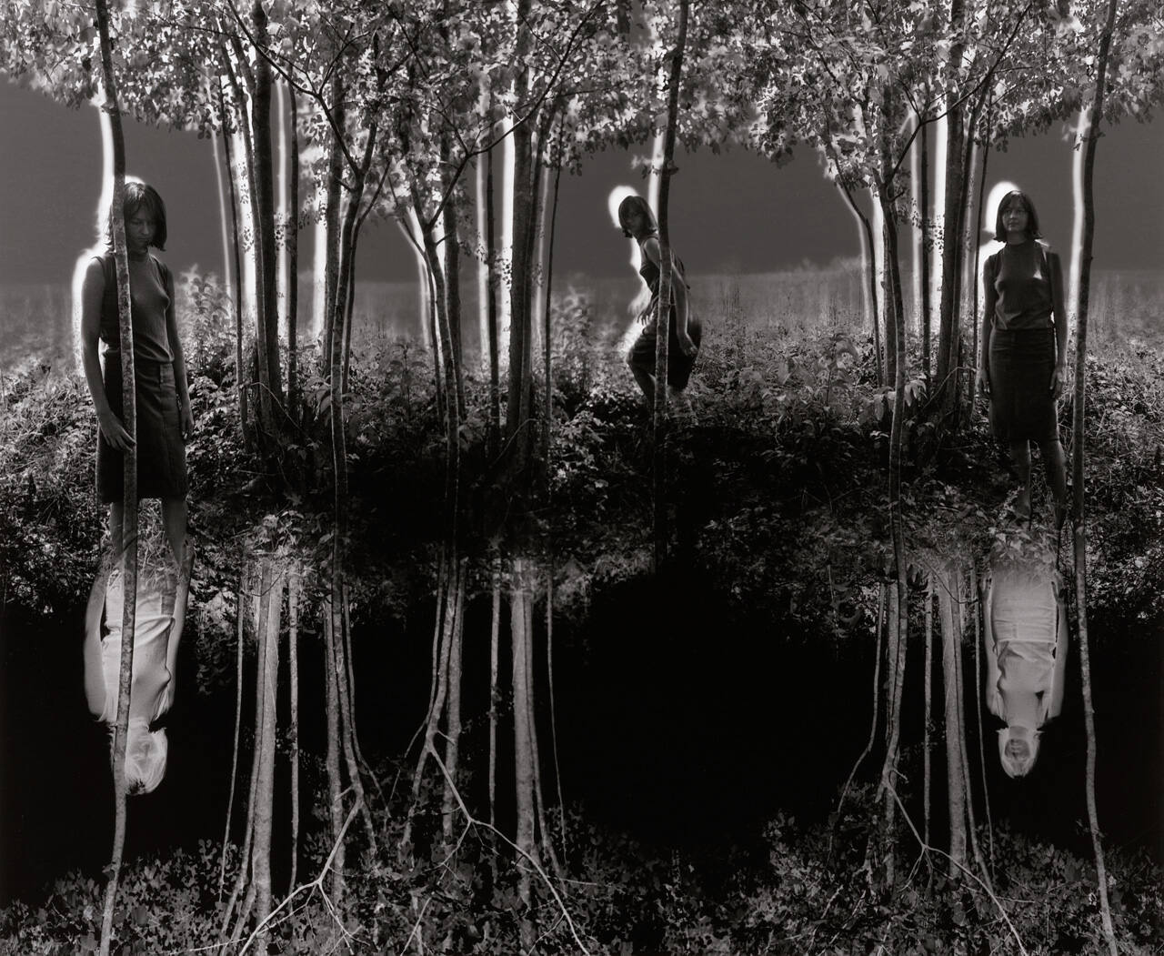 Small Woods Where I Met Myself (Final Version)