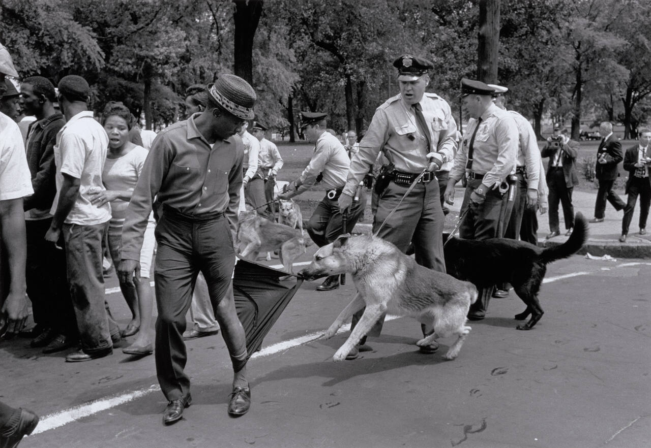 Birmingham, Alabama (police dogs attack demonstrators)