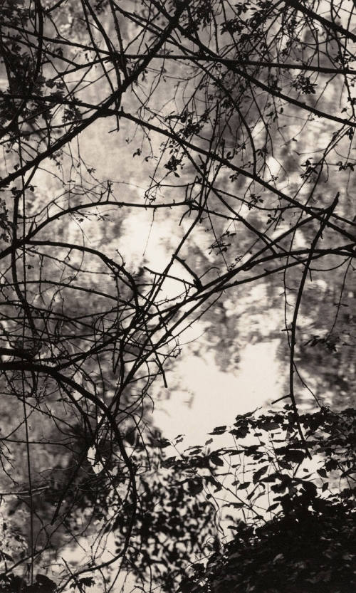 Tomio Seike