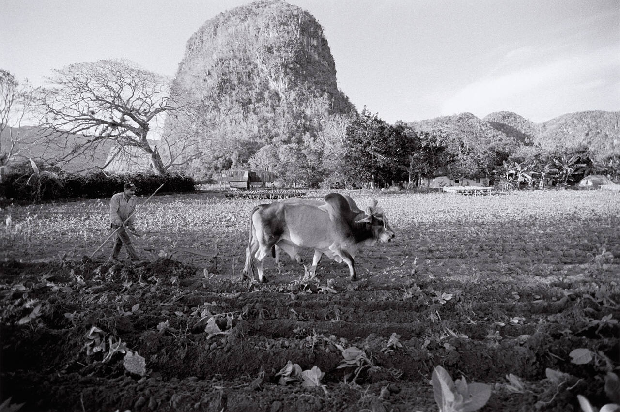 Tilling the Land