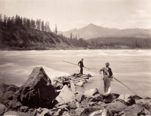 Cascades of the Columbia