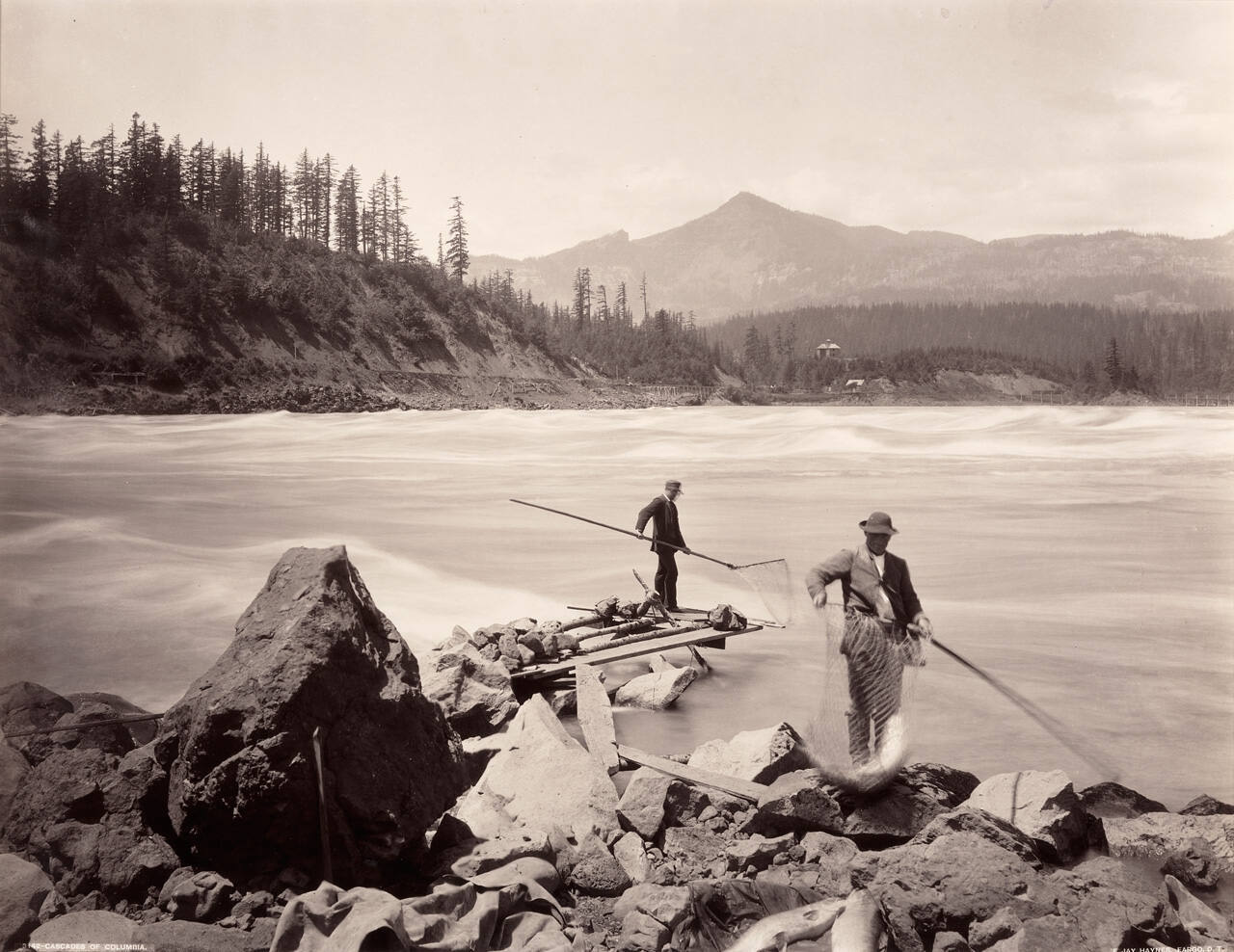Cascades of the Columbia
