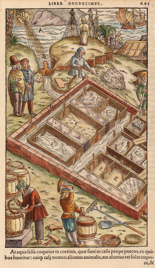 Georgius Agricola