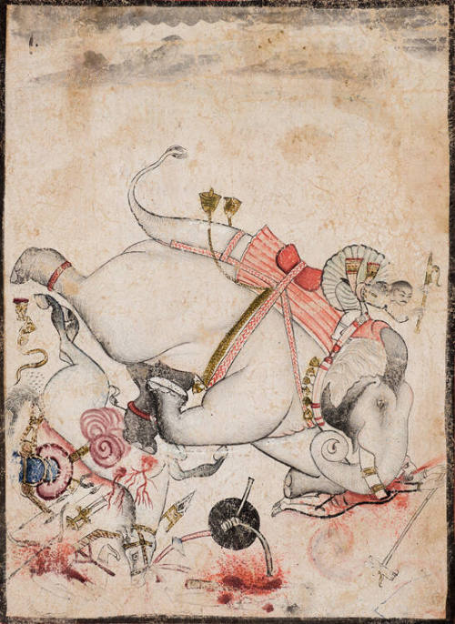 Battle Scene with Enraged Elephant