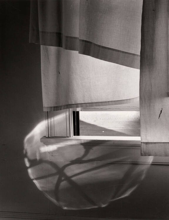 Windowsill Daydreaming
