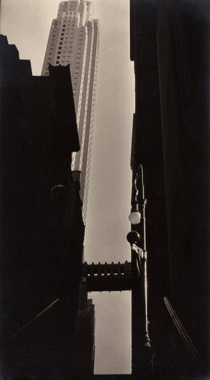 Fred Zinnemann
