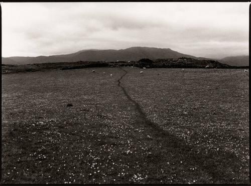 Hills of Morvern