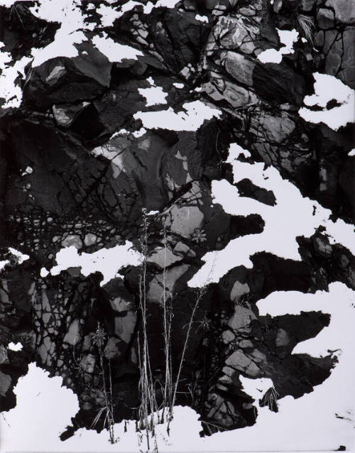 Snow and Rock