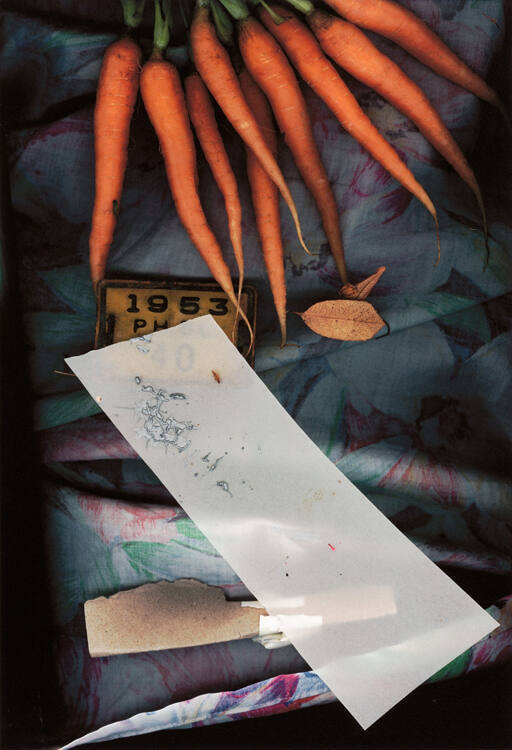 Carrotid Scan