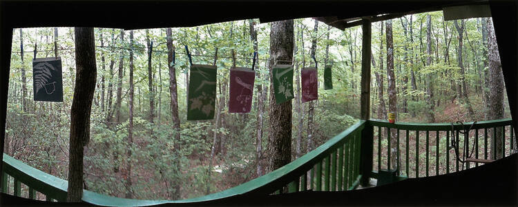 Darryl Curran's Work Studio in a Sea of Leaves