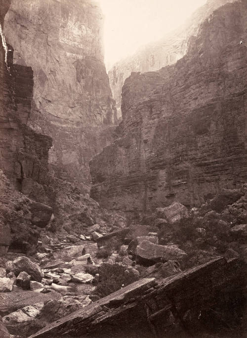 Canon Of Kanab Wash, Colorado River, Looking North
