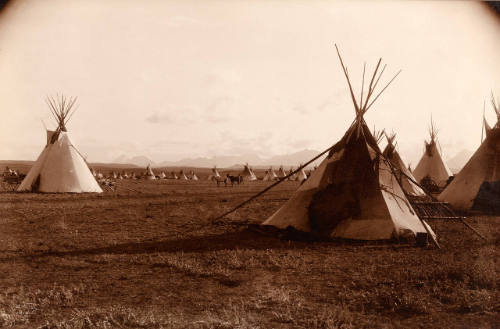 Piegan Encampment