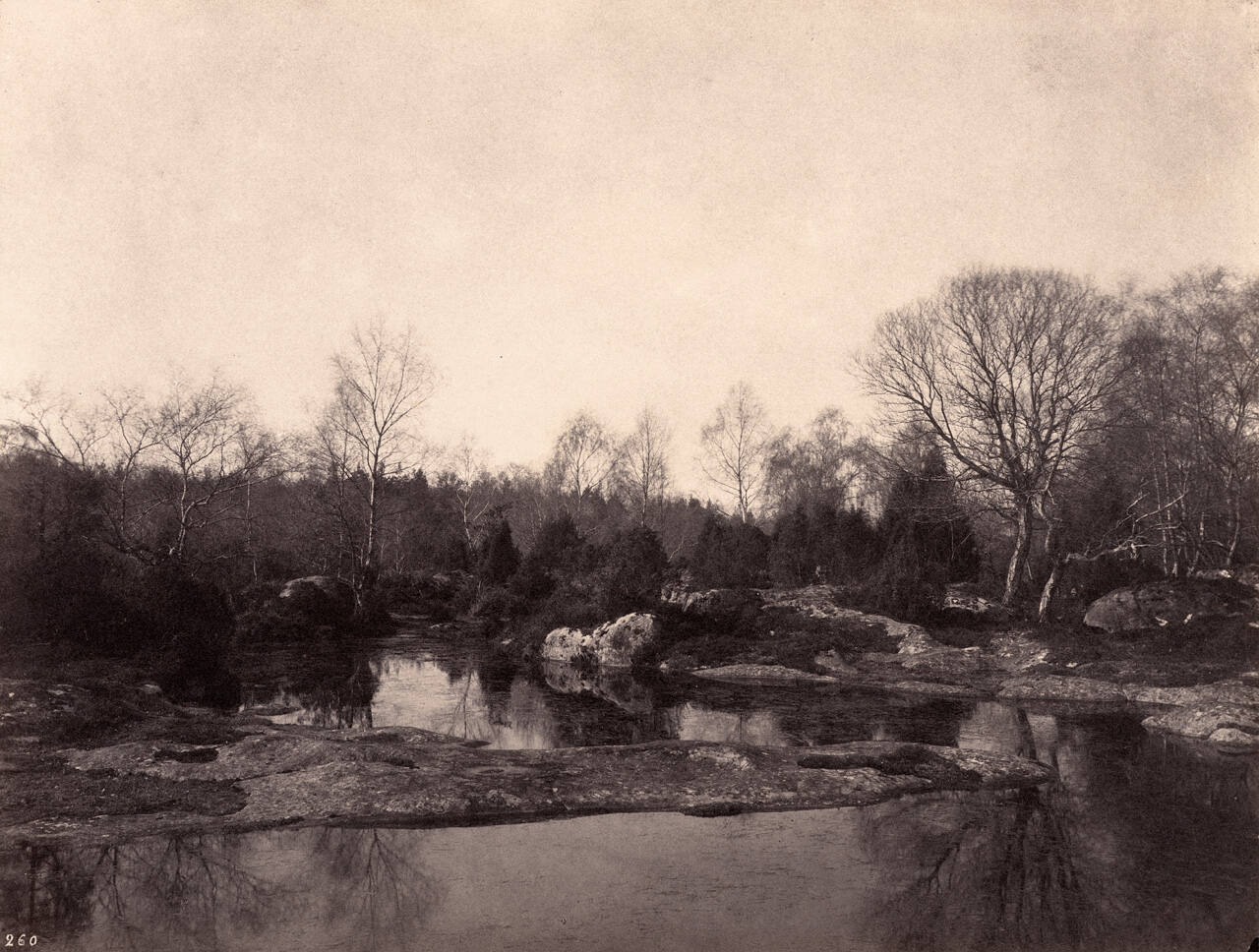 Belle Croix, Ponds, Trees and Rocks