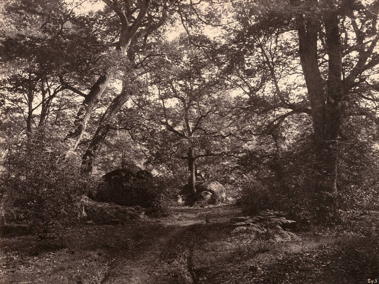Road through the Forest at Fontainebleau / Road through the Chailly Park