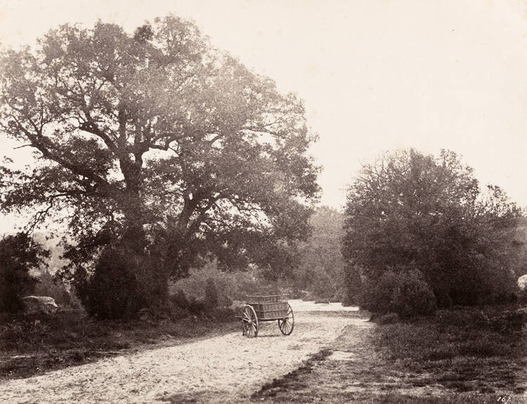 Cart in the Road