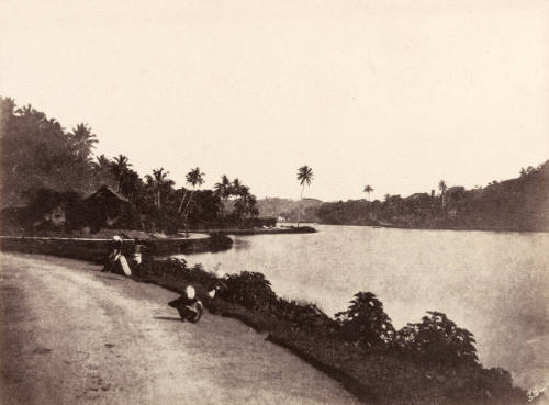 Lake Scenery near Kandy
