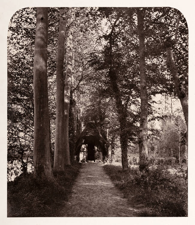 Forêt de Fontainebleau