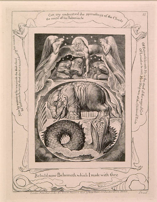 Behold now Behemoth which I made with Thee Book: Book of Job