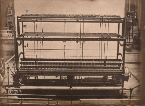 Fringe Power Loom by Reed & Co.