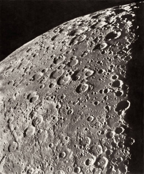 Plate XXIV
