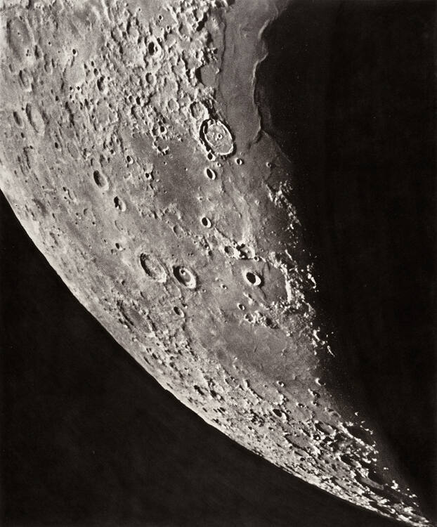 Plate XXVIII