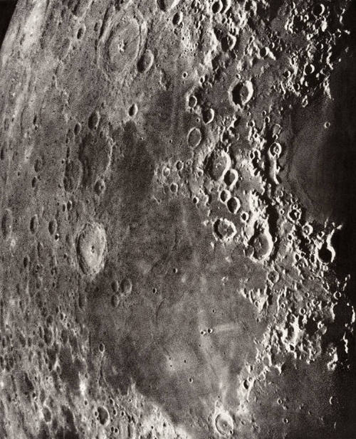 Plate XXXVIII