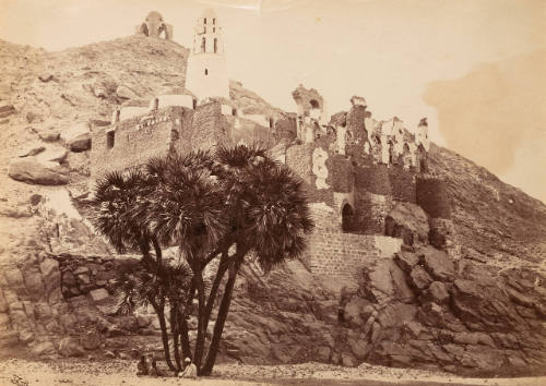 Doum-Palm: Mosque of Mishoo
