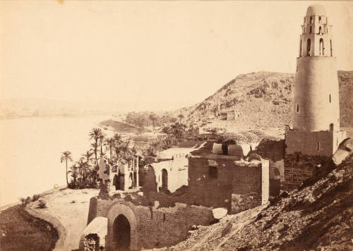Doum-palm: Mosque of Mishoo