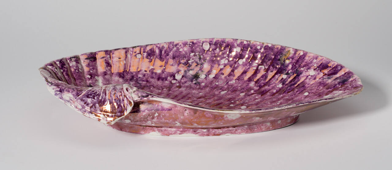 Dish