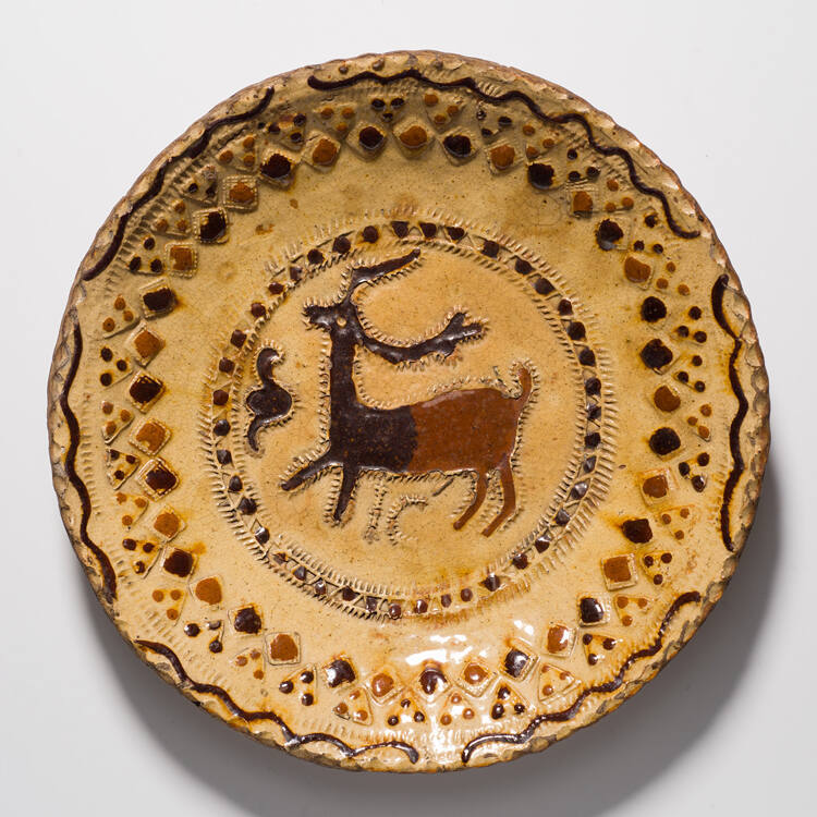 Dish