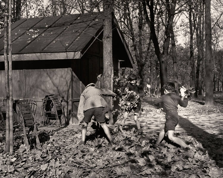 Untitled (children playing in leaves)