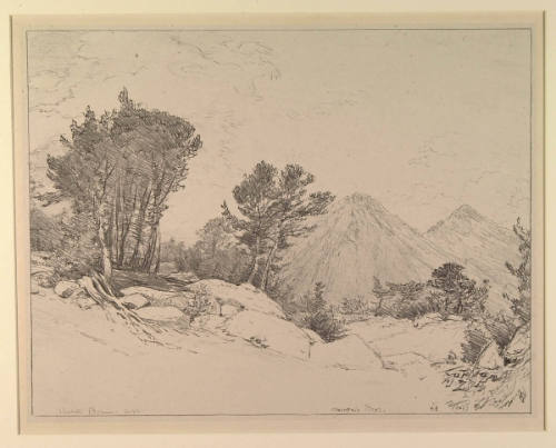 Mountain Pines