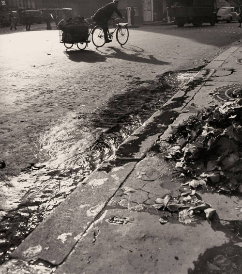 Untitled (Sidewalk with bicyclist)